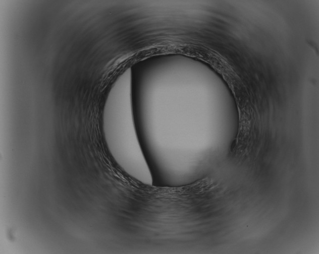 X0000094920773200711291022