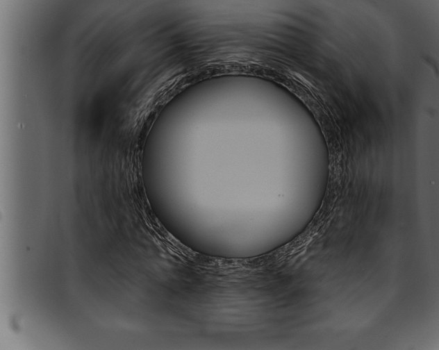 X0000094920774200711291022