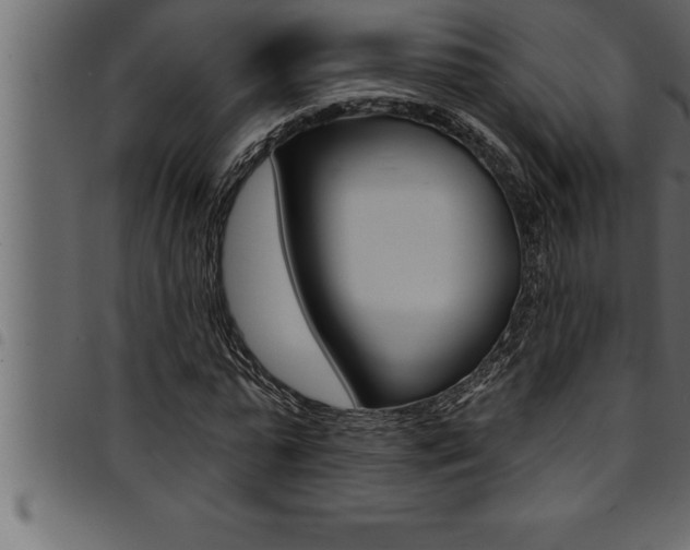 X0000094920775200711291022