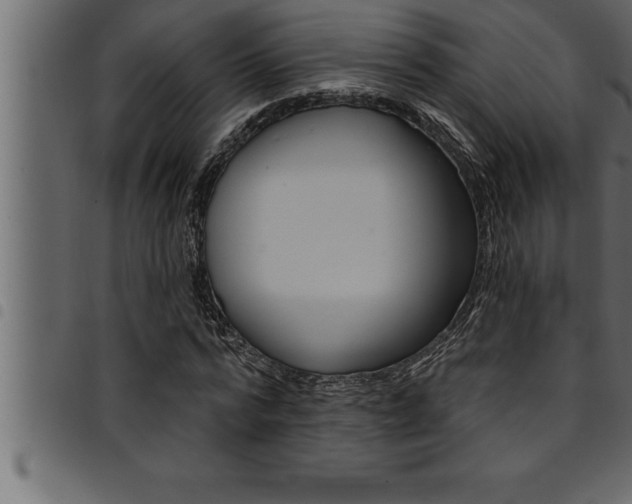 X0000094920776200711291021