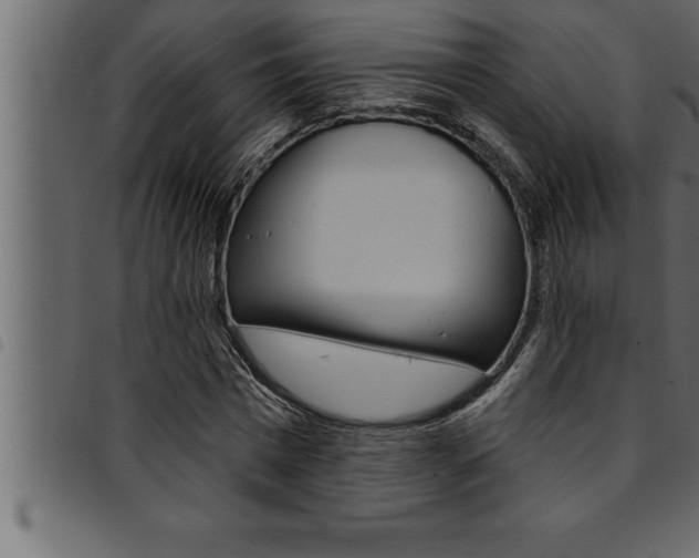 X0000094920777200711291021