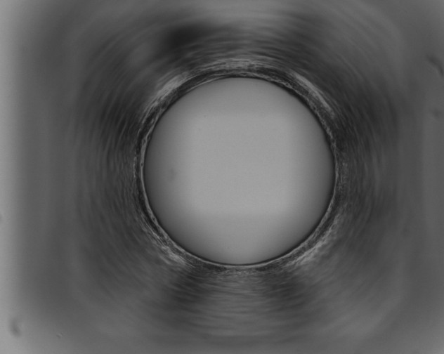 X0000094920778200711291021