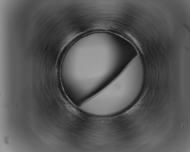 X0000094920779200711291021