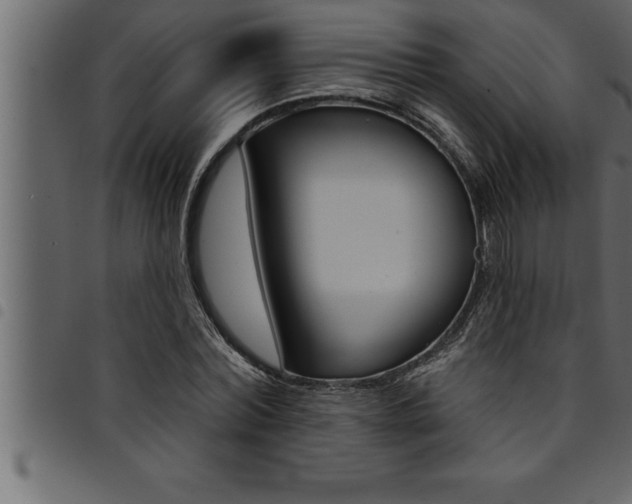 X0000094920780200711291021