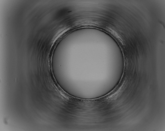 X0000094920782200711291021