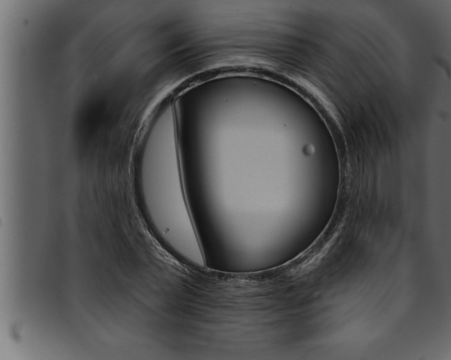 X0000094920783200711291021