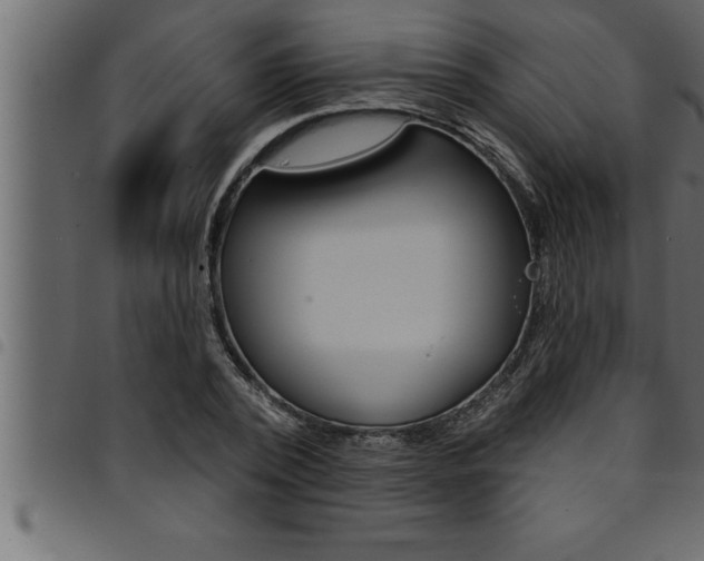 X0000094920784200711291021
