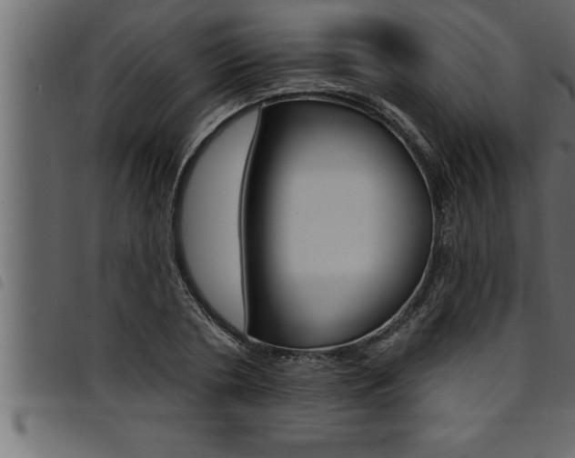 X0000094920786200711291021