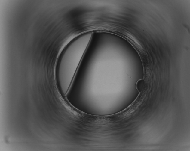 X0000094920788200711291021