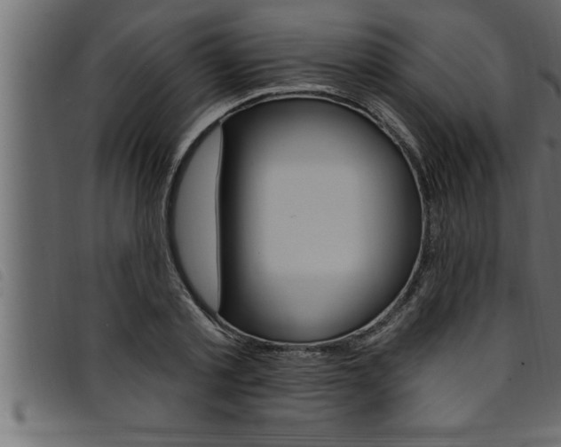 X0000094920789200711291021