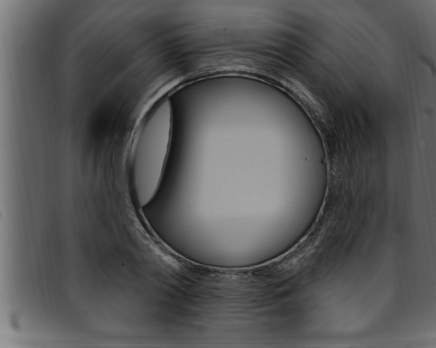 X0000094920790200711291021
