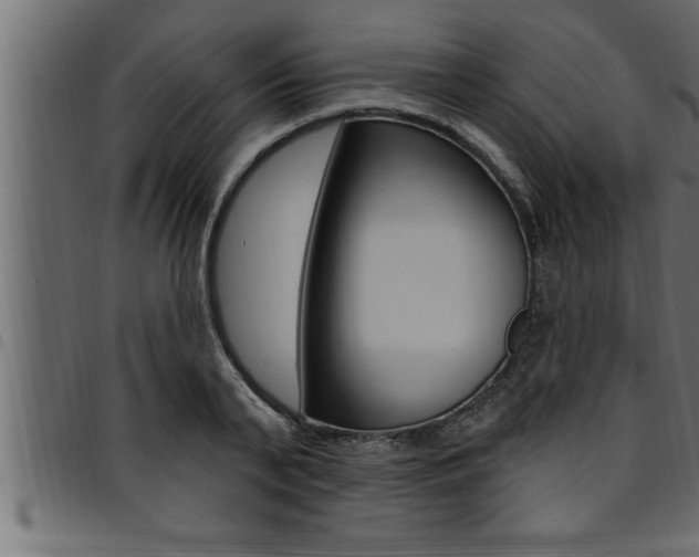 X0000094920791200711291021