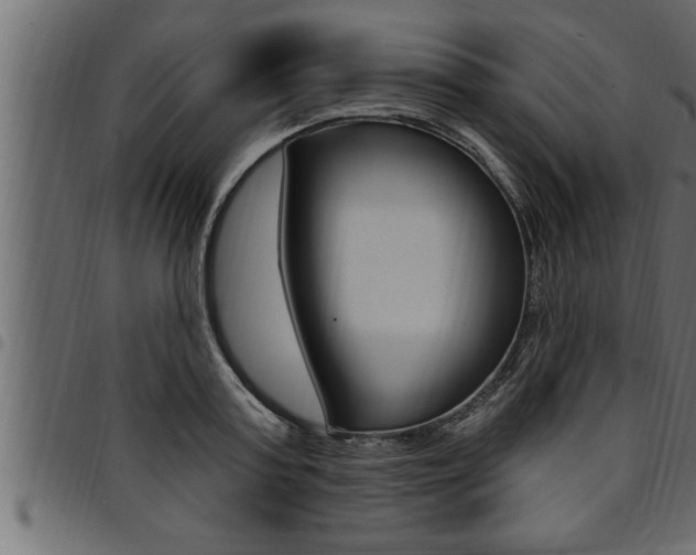 X0000094920795200711291021