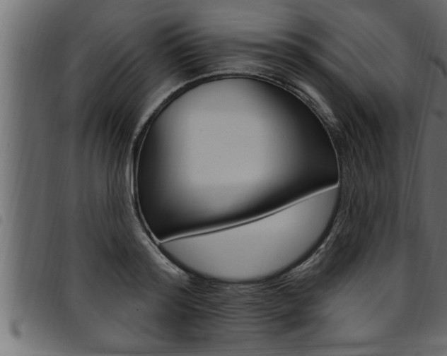 X0000094920796200711291021