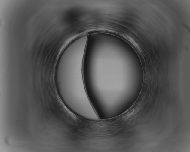 X0000094920799200711291021