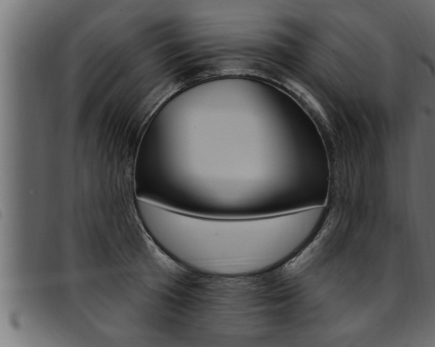 X0000094920801200711291021