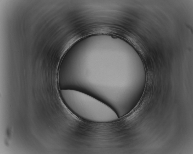 X0000094920802200711291021