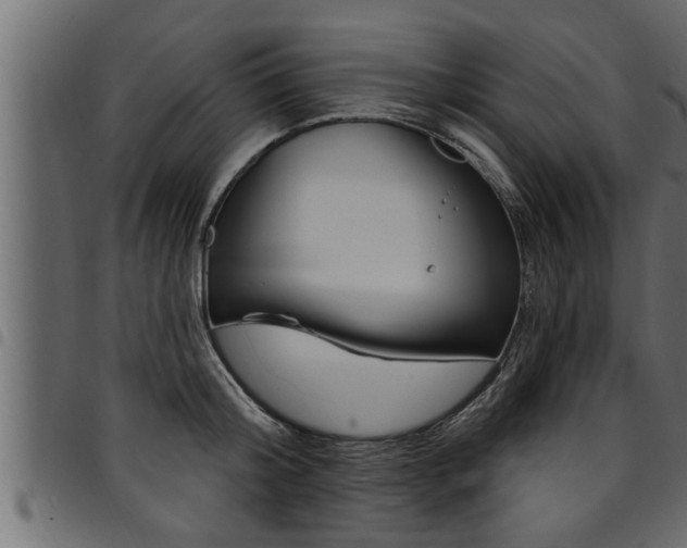X0000094920804200711291021