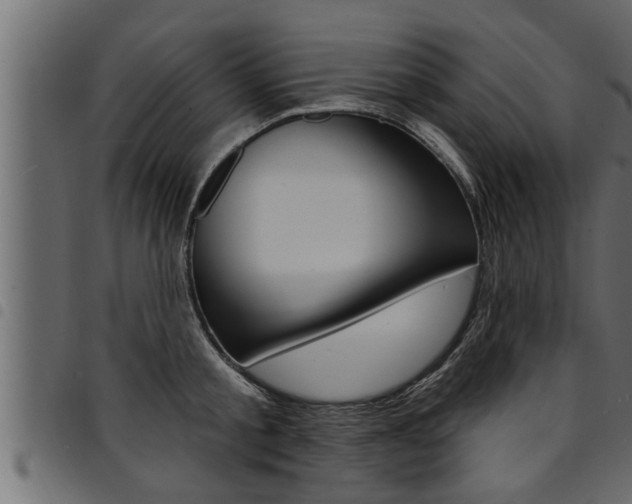 X0000094920805200711291021