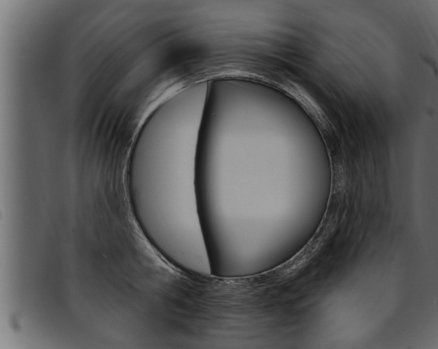 X0000094920806200711291021