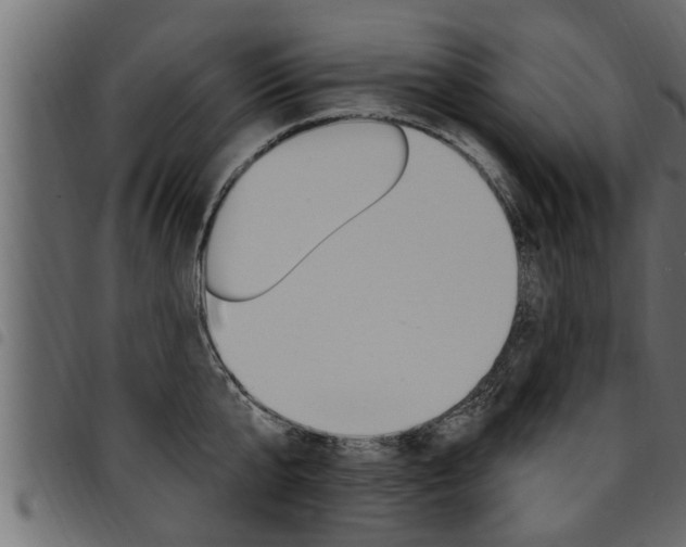 X0000094920807200711291021