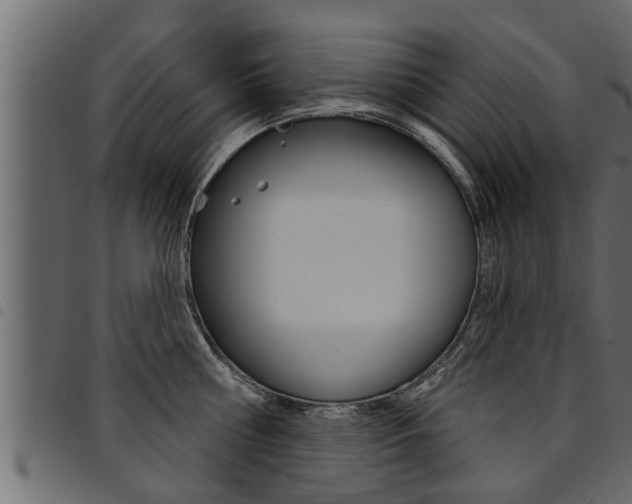 X0000094920810200711291021