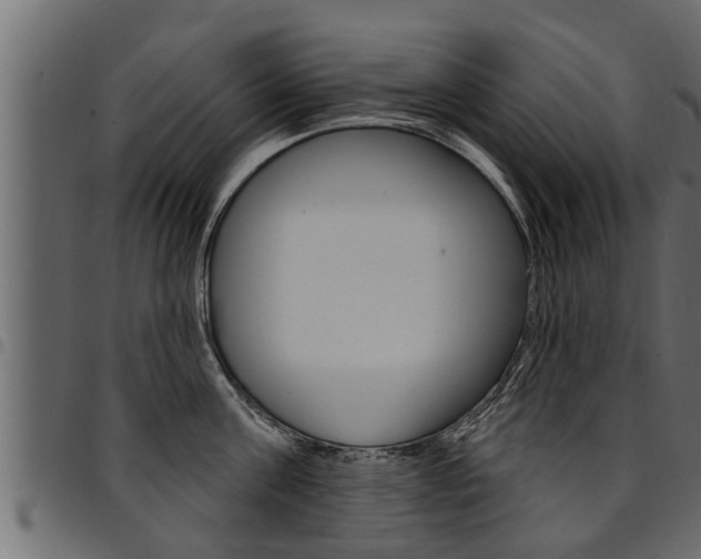 X0000094920811200711291021