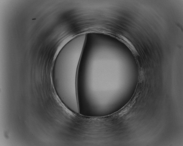 X0000094920812200711291021