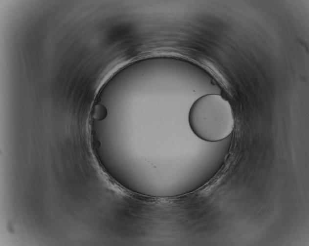 X0000094920814200711291021