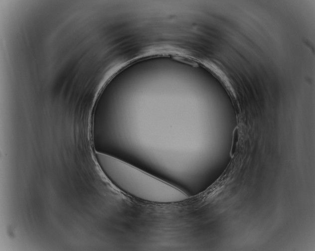 X0000094920815200711291021