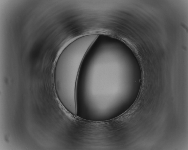 X0000094920816200711291021