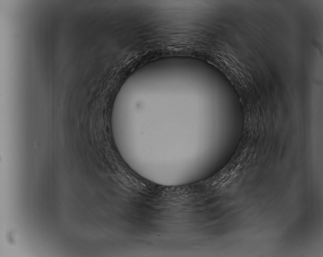 X0000094920817200711291020