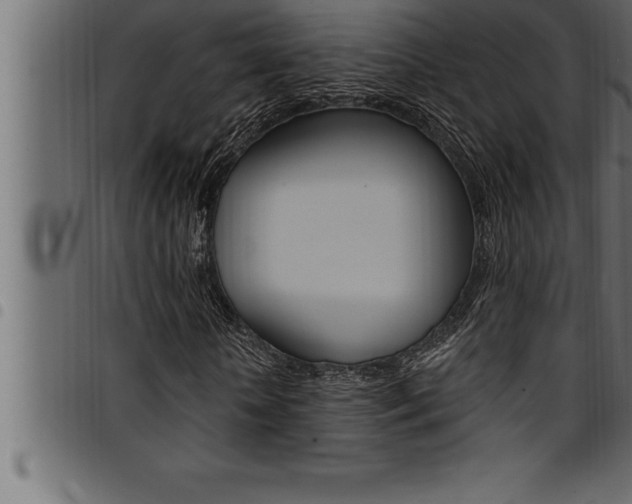 X0000094920818200711291020