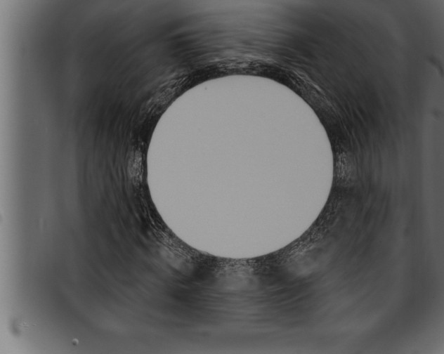 X0000094920820200711291020