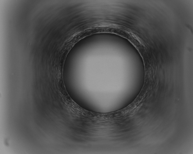 X0000094920821200711291020