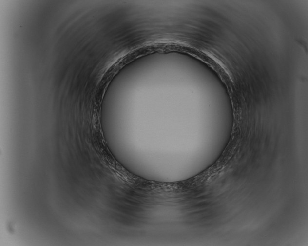 X0000094920823200711291020