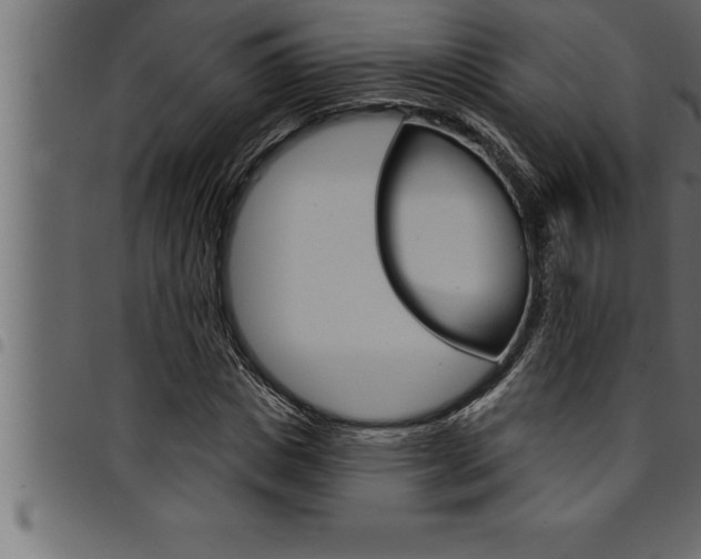 X0000094920825200711291020