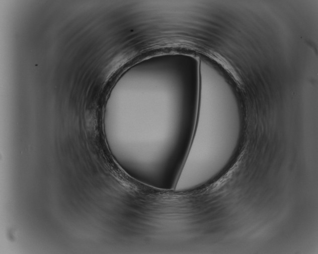 X0000094920826200711291020