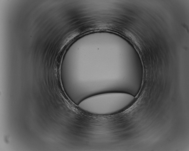 X0000094920827200711291020