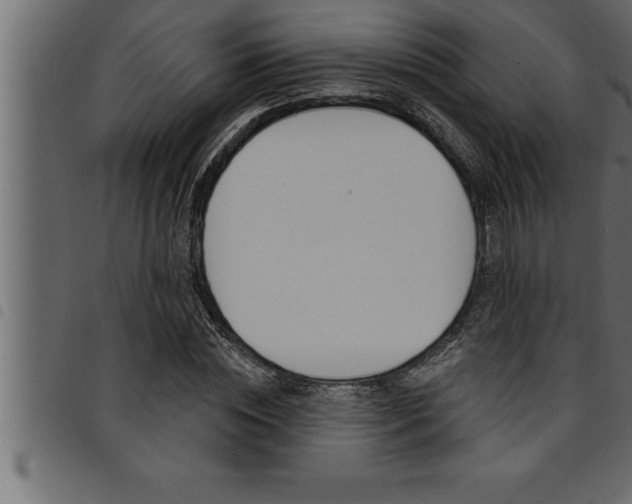 X0000094920828200711291020