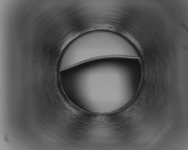 X0000094920834200711291020