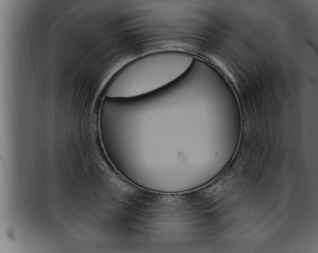 X0000094920835200711291020