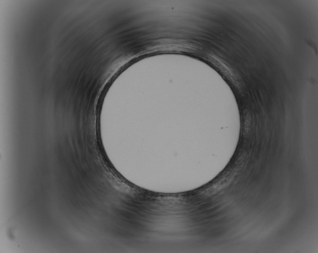 X0000094920836200711291020
