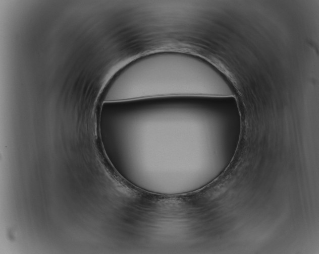 X0000094920838200711291020