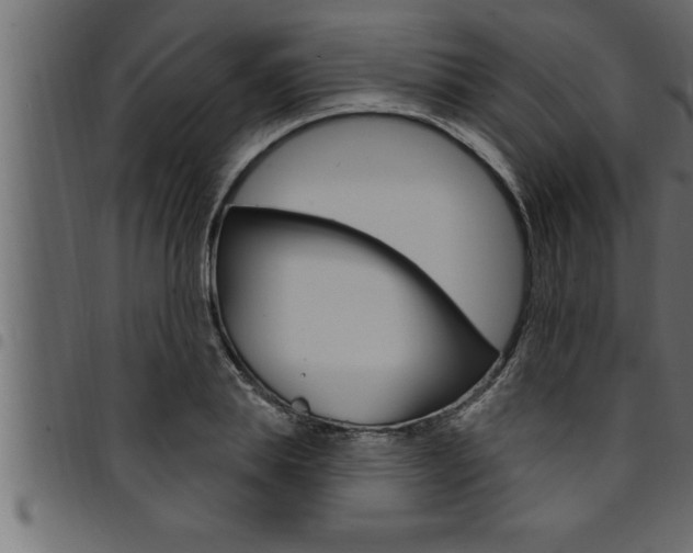 X0000094920839200711291020