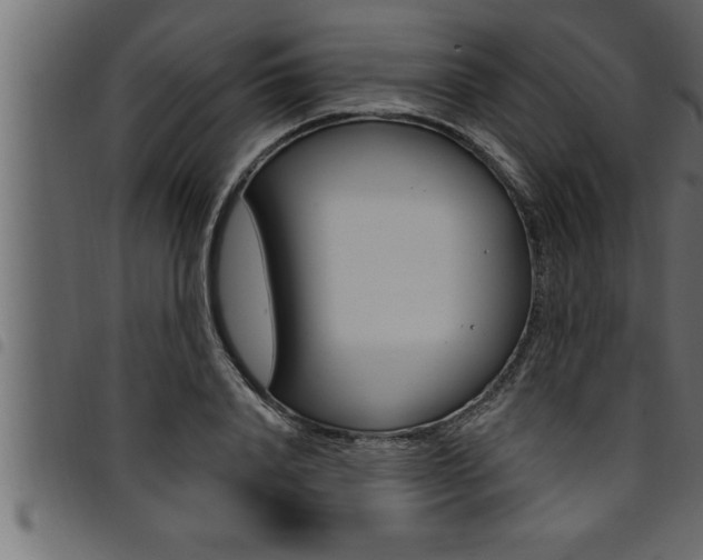 X0000094920840200711291020
