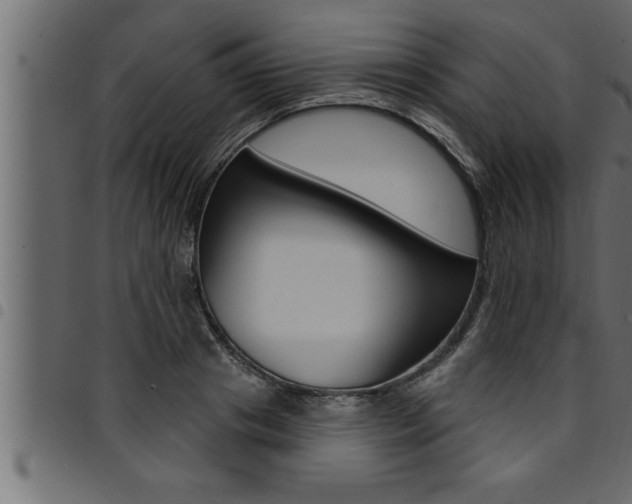 X0000094920841200711291020