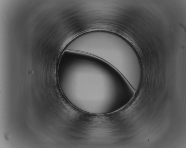 X0000094920842200711291020