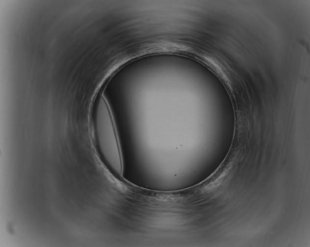 X0000094920843200711291020
