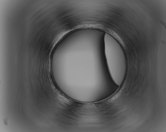X0000094920844200711291020